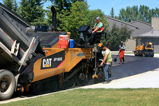 Best Custom Driveway Pavers  in Mount Olive, NC